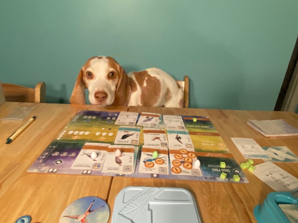 The Clash of Chaos and Confetti 5 –&nbsp;Wingspan