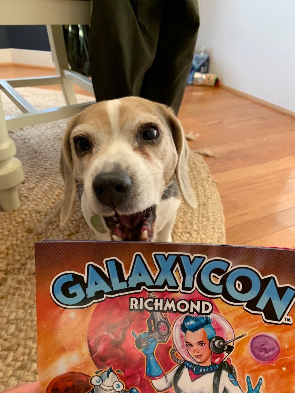 GalaxyCon Richmond 2022