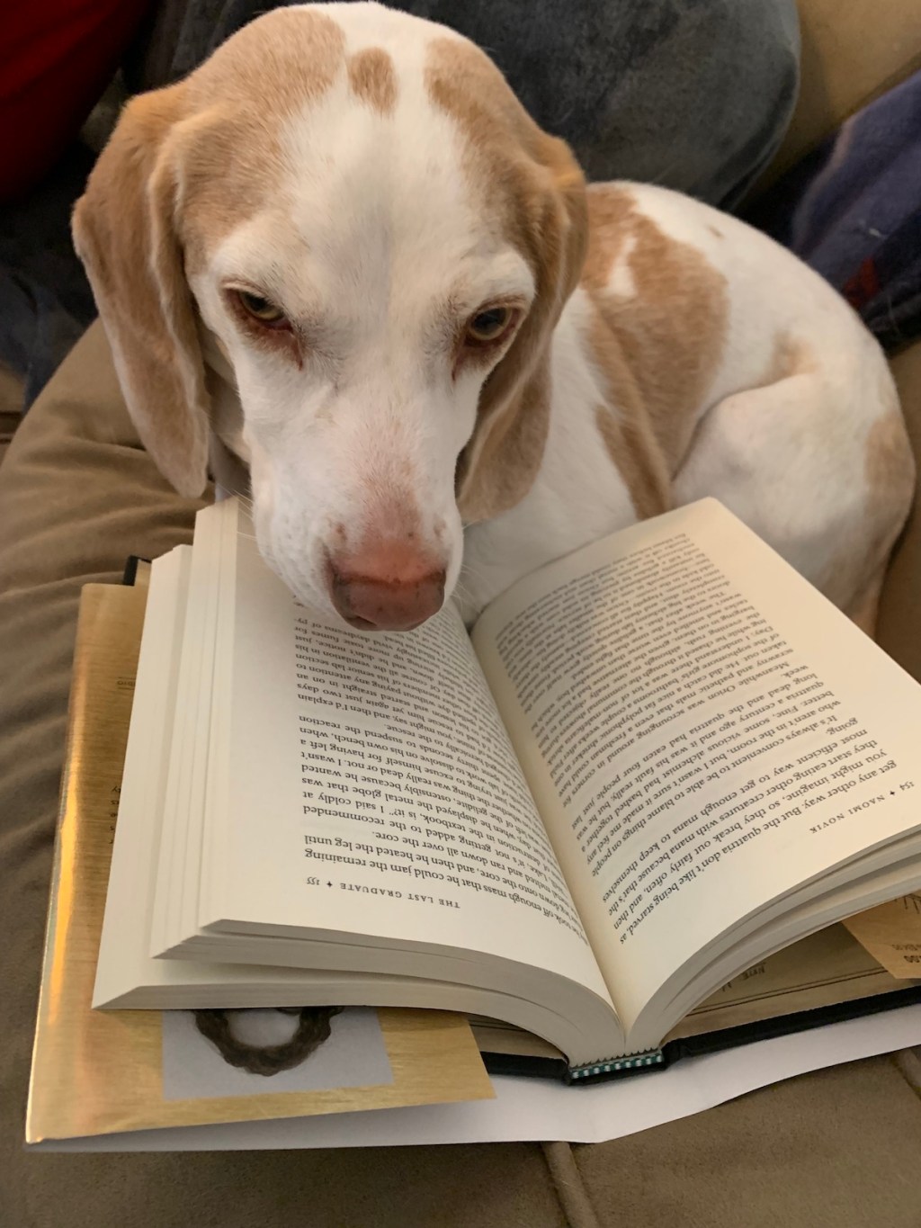 April 2022 Book&nbsp;Reviews