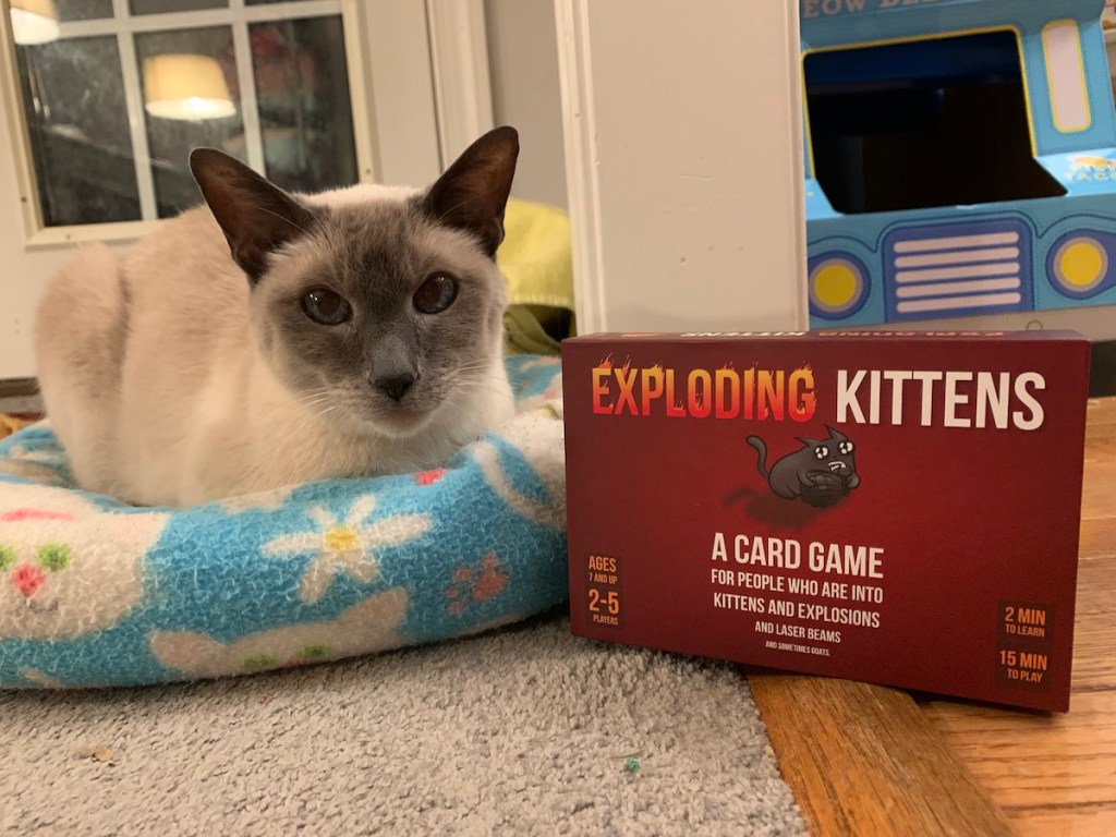 Clash of Chaos and Confetti #35: Exploding&nbsp;Kittens