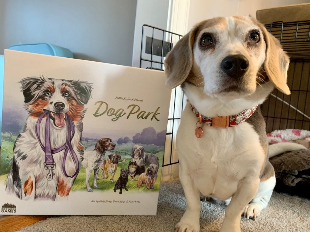 Clash of Chaos and Confetti 2023: Dog&nbsp;Park