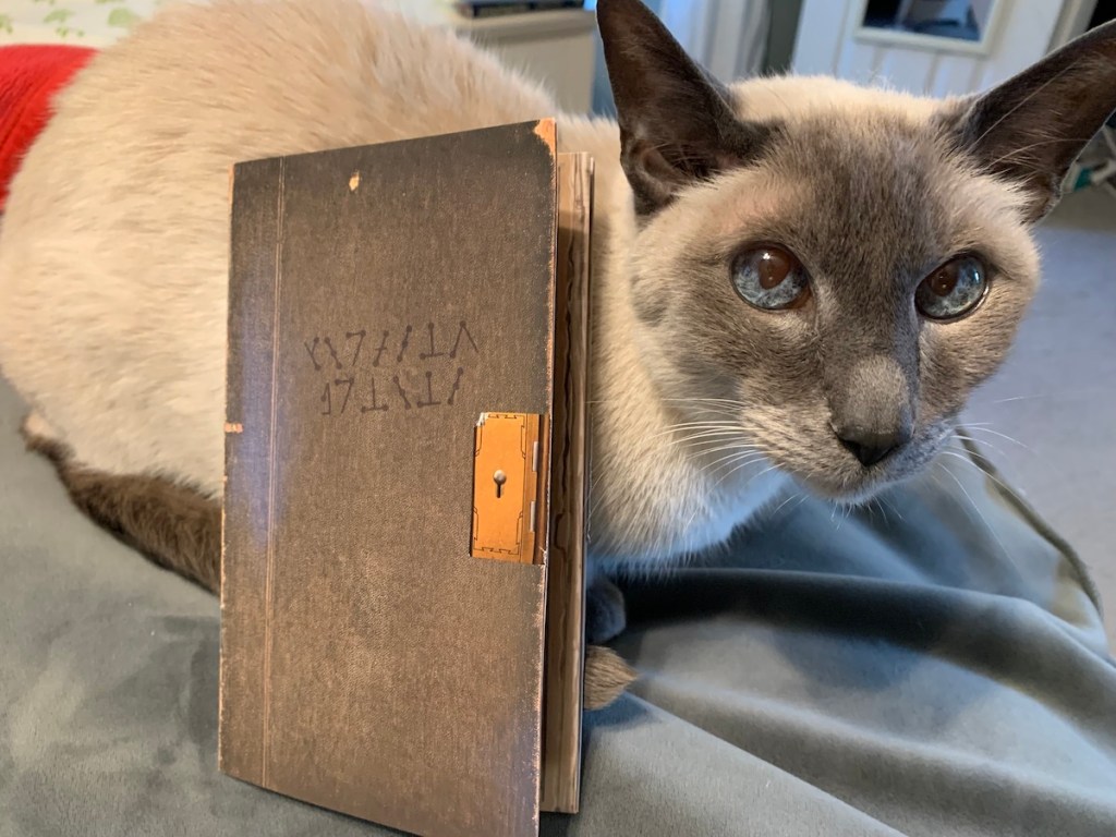 The Puzzles of Gloomhaven and Frosthaven&nbsp;(Spoiler-Free)