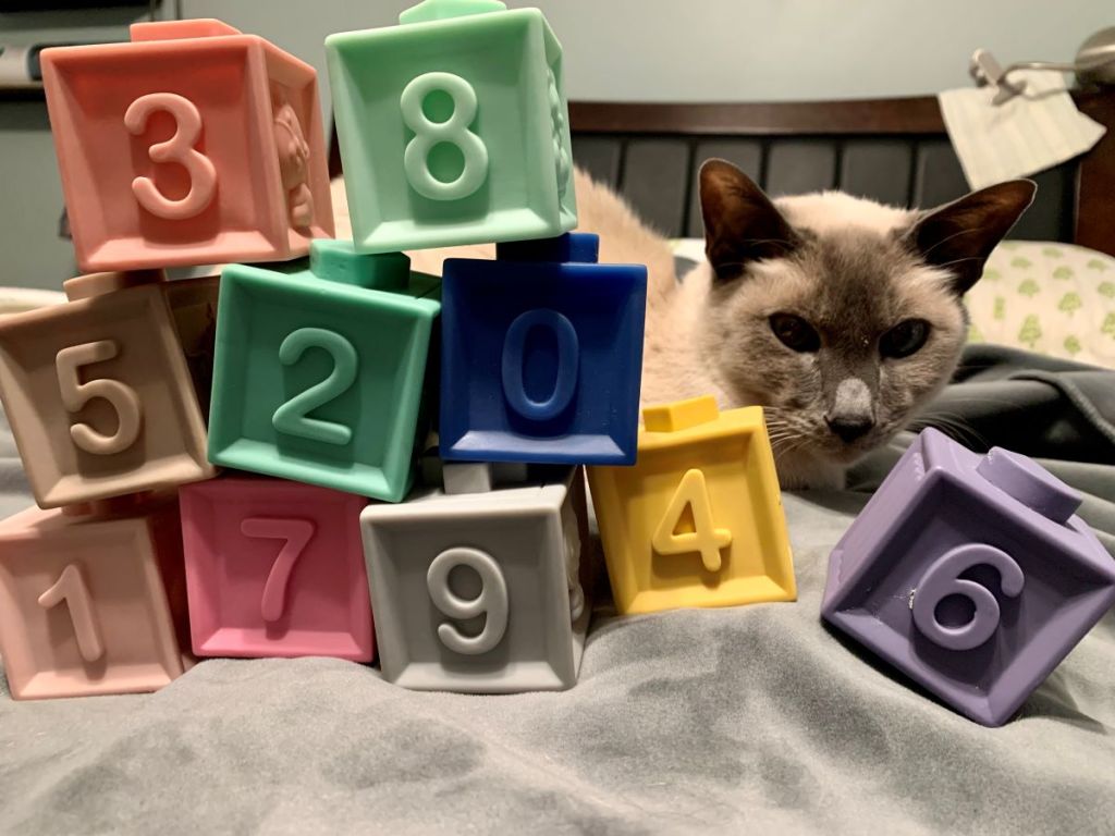 Chaotic Considerations: Master Tracker or Great&nbsp;Distractor