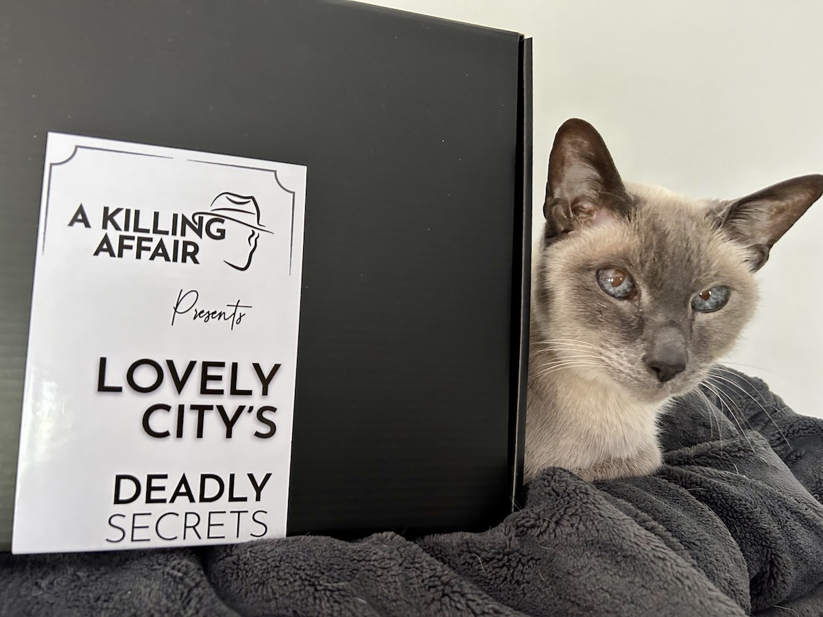 Review: Lovely City – Deadly Secrets by a Killing Affair – Chaos & Confetti