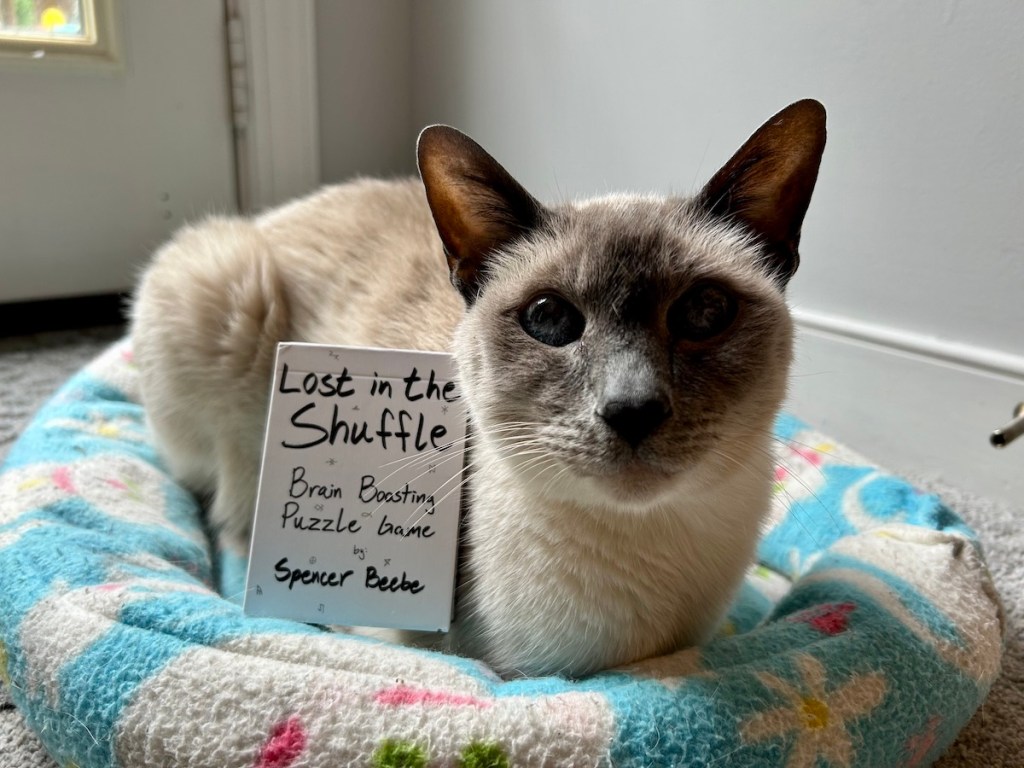 Review: Lost in the Shuffle by Spencer&nbsp;Beebe