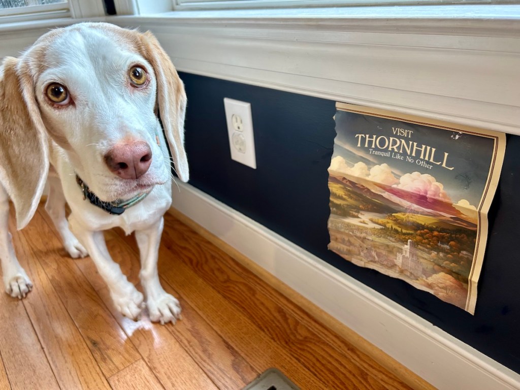 Review: Doomensions Mystery Manor –&nbsp;Prologue