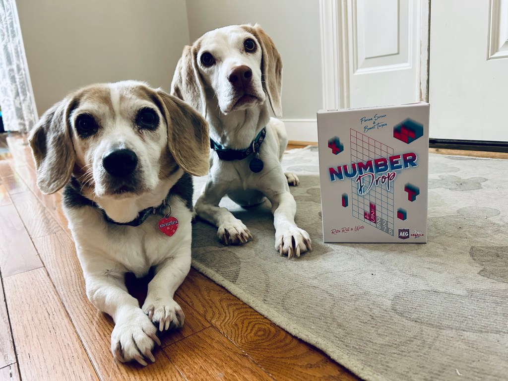 Review – Number&nbsp;Drop